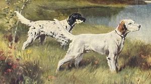 lot 146A image: On the Trail Framed Print by Robert Atkinson Fox