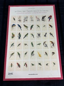 lot 276 image: Edward Lear The Parrots The Complete Plates Taschen Art Prints - Vintage In Box