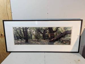 lot 103 image: Framed Print