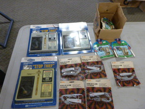 lot 172 image: Theft Prevention
