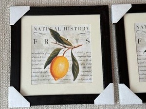 lot 79 image: Pair of Fruit Themed Decorative Prints