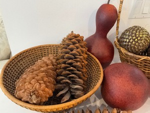 lot 73 image: Grouping of Home Decor Items