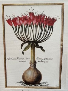lot 75 image: Beautiful Canvas Floral Print