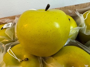 lot 67 image: Box of 12 New Faux Green Apples