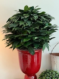 lot 61 image: Lovely Home Decor Grouping including Faux Topiaries