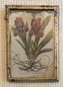 lot 110 image: Pair of Darling Distressed Framed Floral Prints
