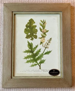 lot 278 image: Two Framed Leaf Print Wall Art Pictures