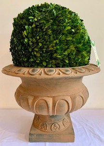 lot 260 image: Lightweight Terracotta Look Planter with Boxwood Sphere