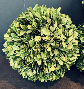 lot 357 image: Beautiful Decorative Faux Greenery Spheres