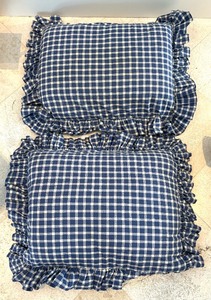 lot 424 image: Seven Sensational Accent Pillows