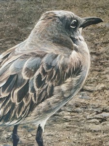 lot 431 image: Signed Limited Edition Framed Print by Robert Bateman