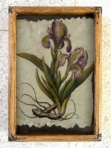 lot 437 image: Four Pretty Floral Glass Prints in Distressed Wooden Frames