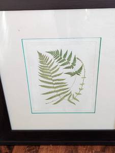lot 320A image: Pair of Framed Botanical Prints by Paragon