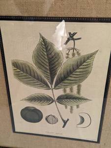 lot 582 image: Pair of Framed Botanical Prints by La Roche Laffitte