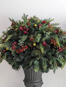 lot 584 image: Pair of Large Potted Topiaries