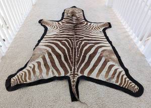 lot 61A image: Zebra Skin Rug