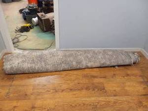 GERTMENIAN THOMASVILLE HUDSON LUSH SHAG RUG 7FT 10IN X 10FT