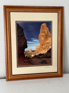lot 50 image: Photography Arizona Picture Matted and Framed