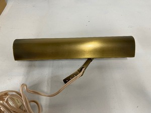 lot 81 image: Pair of Antique Brass Picture Lights and Sphere Bulbs