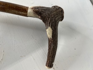 lot 82 image: Cane with Antler Handle