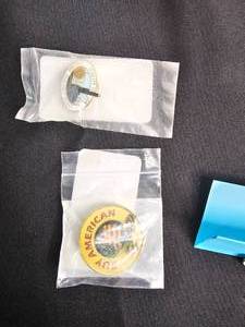 lot 176 image: 5 Ford UAW Lapel Pins - Chicago Assembly & 1 Buy American Ford Lapel Pin