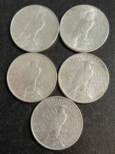 GROUP OF 5 US PEACE SILVER DOLLARS