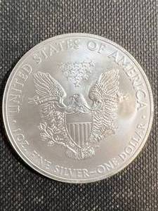 2013 AMERICAN SILVER EAGLE 1 TROY OZ .999 FINE SILVER