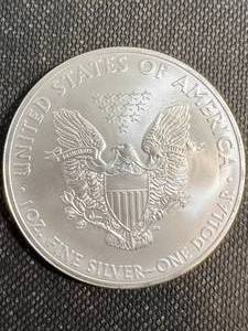 2013 AMERICAN SILVER EAGLE 1 TROY OZ .999 FINE SILVER