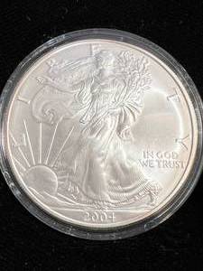 2004 AMERICAN SILVER EAGLE 1 TROY OZ .999 FINE SILVER