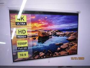 VivoHome Projector Screen