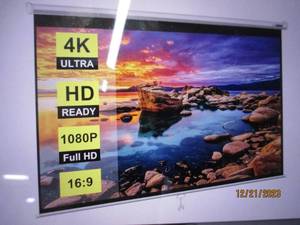 VivoHome Projector Screen