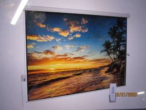 Projector Screen