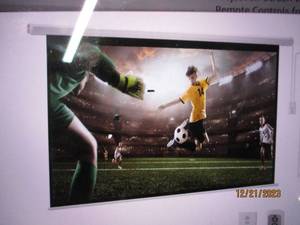 Yodolla Projector Screen