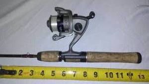 lot 434 image: Beaver Dam Reel and Berkley Cherrywood Graphite Pole.