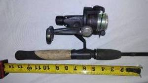 lot 435 image: Mitchell Reel and Berkley Lightning Rod Combo.