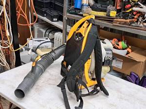 lot 40 image: Ryobi Gas Blower Backpack