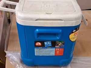 lot 488 image: Igloo Ice Cube 48-Quart Chest Cooler