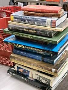 lot 517 image: Lot of (16) Assorted StoryInformative Books