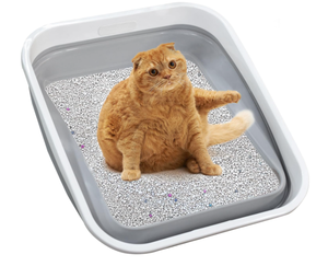 lot 293 image: Maohegou Large Cat Litter Box for Kittens to Senior Cat, Elderly and Fat Cat