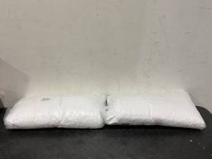lot 310 image: 2 Queen Size Pillows