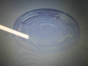 World Centric Clear Cold Cup Lids, ...