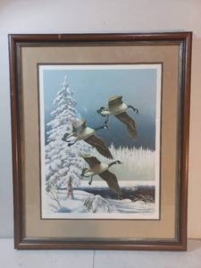 Framed Canada Geese Print By Maynard Reece