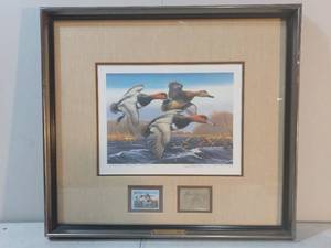 Framed Redheads Print By Arthur G. Anderson