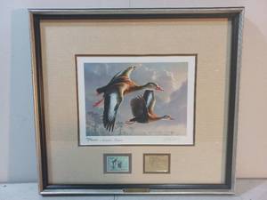 Framed Black-Bellied Whistling Ducks Print By Jim Hautman