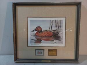 Framed Cinnamon Teal Duck Stamp Print By Gerald Mobley
