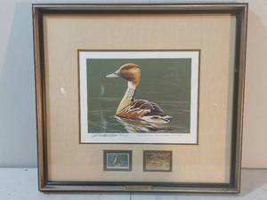 Framed Fulvous Whistling Duck Print By Burton E. Moore, Junr.