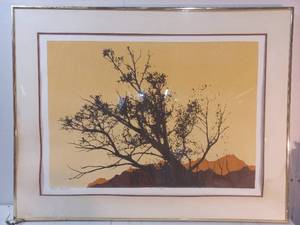 Framed Afternoon Cottonwoods I Print By J. Bontwell