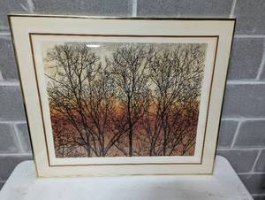 Framed Art