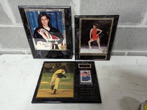 Three Sports Plaques
