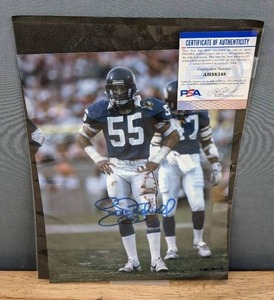 lot 46 image: NFL Football Minnesota Vikings Scott Studwell Autographed 8 x 10 Photo - PSA COA  R